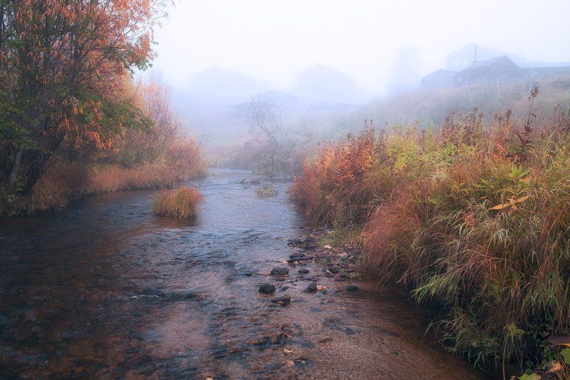 ****** фото превью