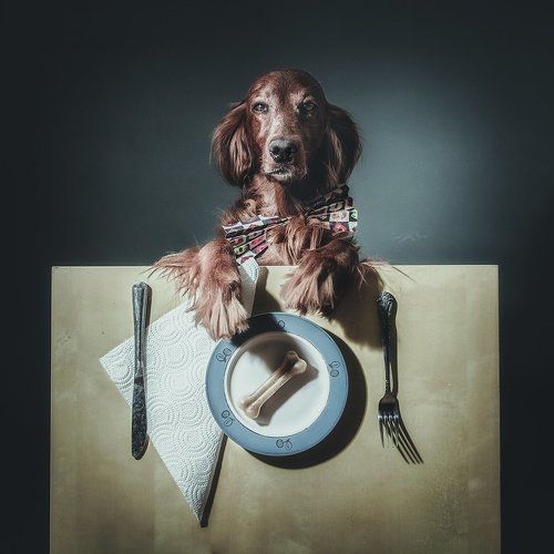 Бизнес ланч