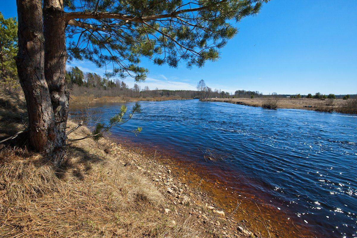 блики, весна, половодье, река, солнце, тверская область, Валерий Пешков