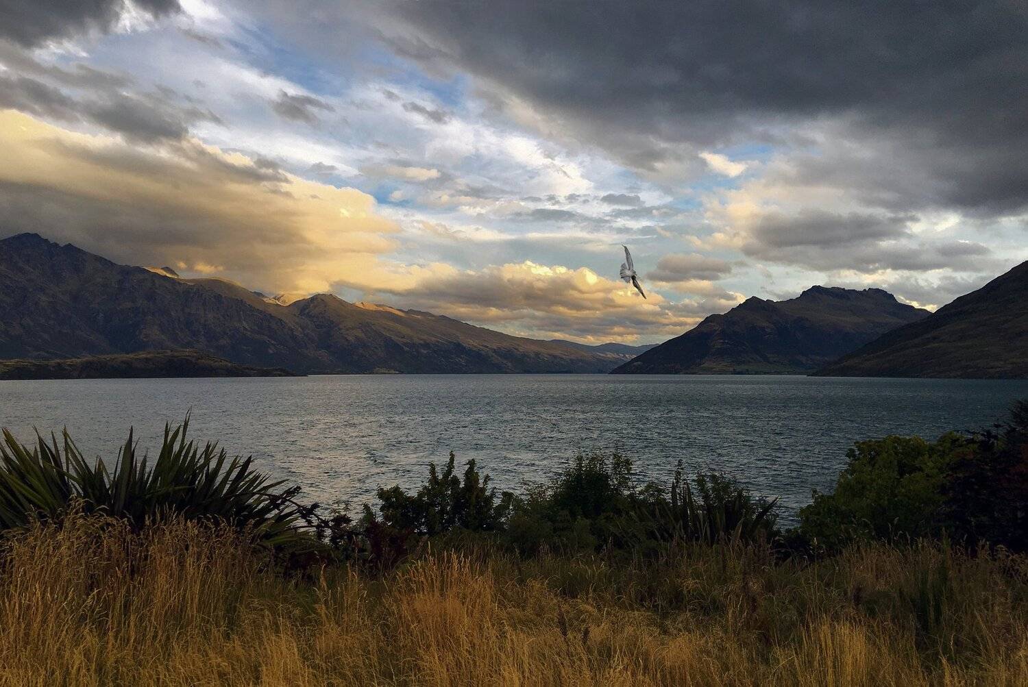 буревестник, Алексей Рыльский