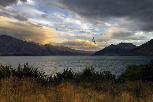 South island