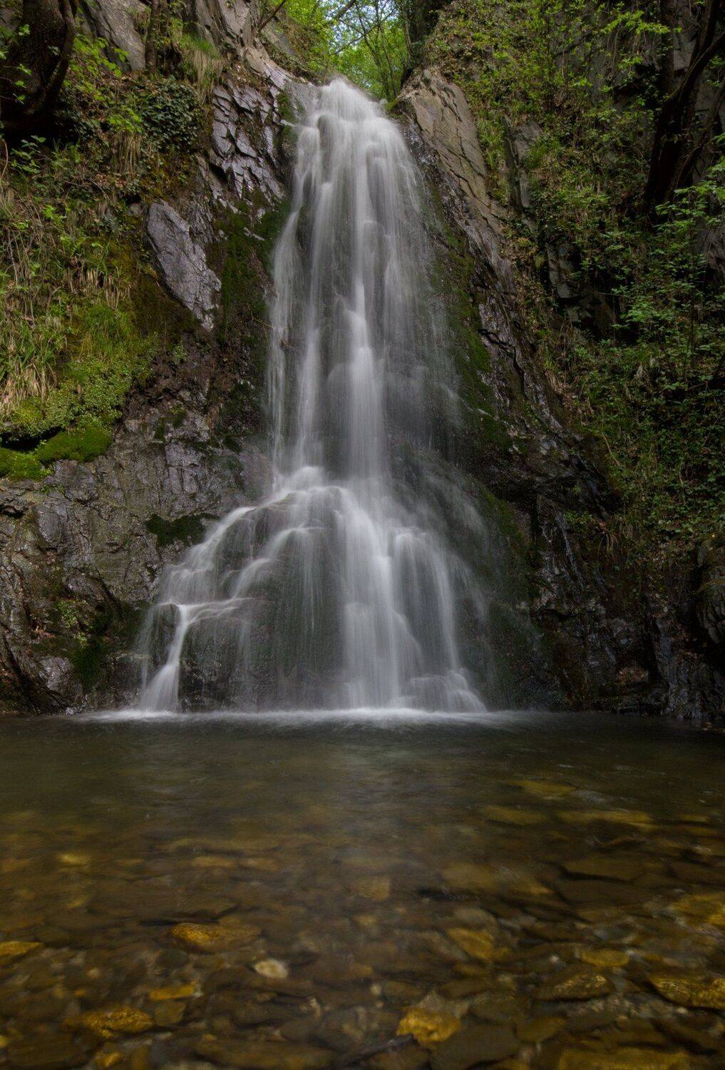 Bulgaria,Sopot,nature,water,waterfall,river,forest, Naiden Bochev