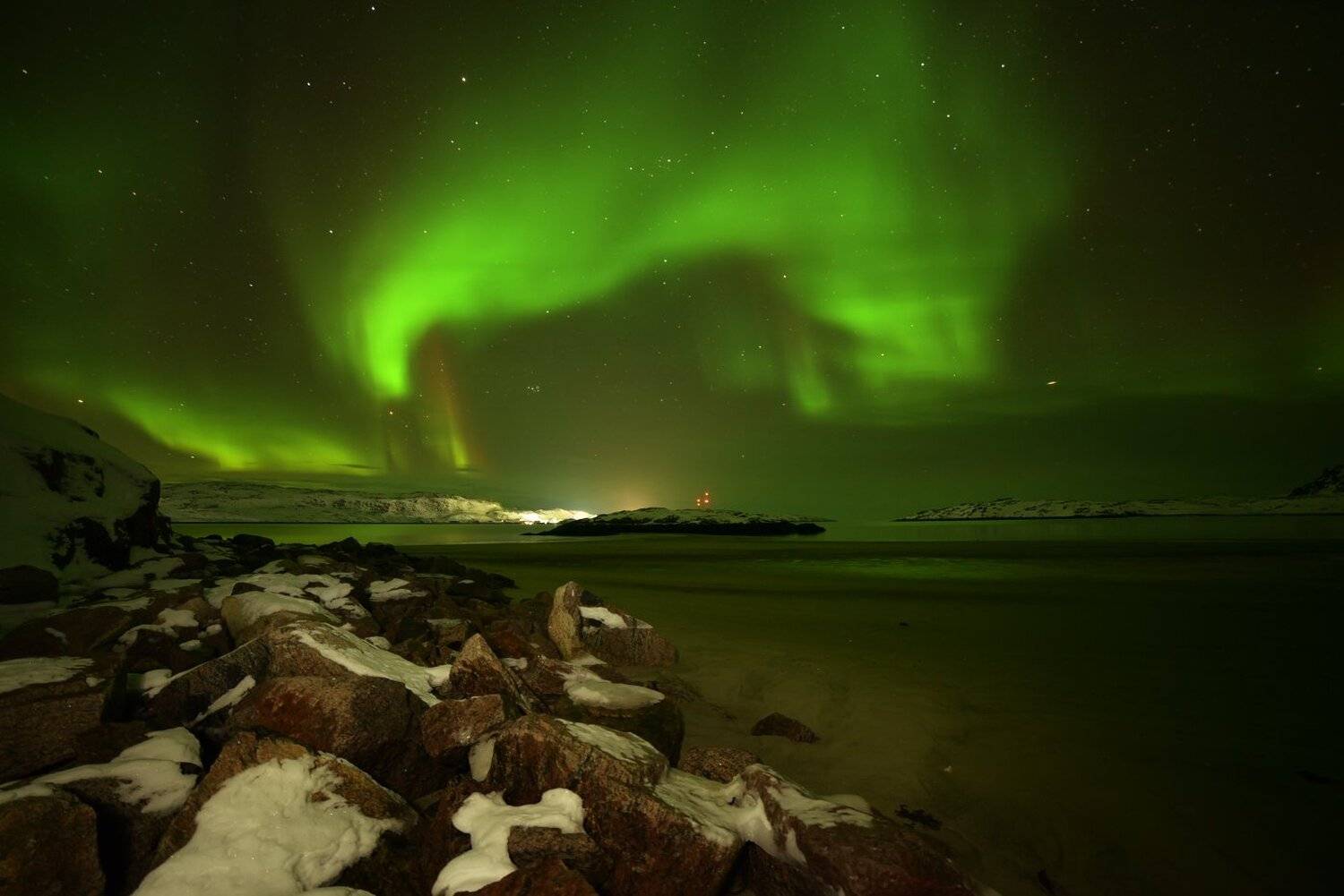 , Максим Евдокимов ( www.wildphotorus.ru )