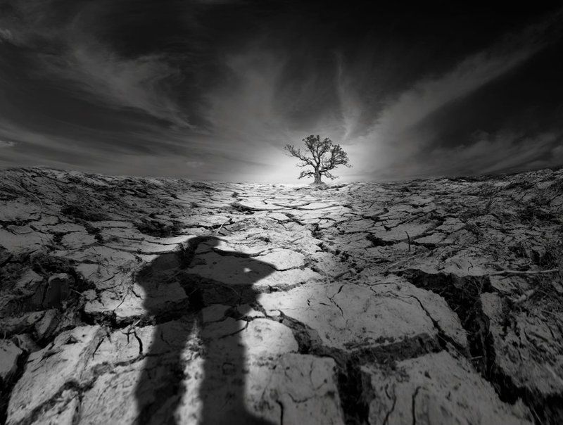 Shadows of my mind фото превью