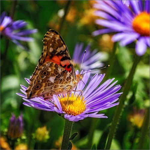 Увлеклась - 2! 