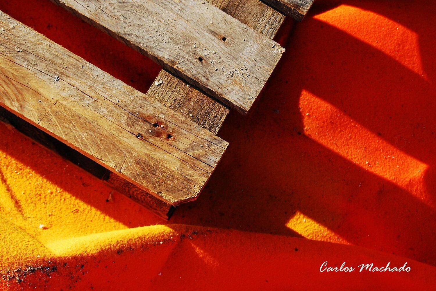 Macro, Travel, Other, Reportage, Still life,, Carlos Machado