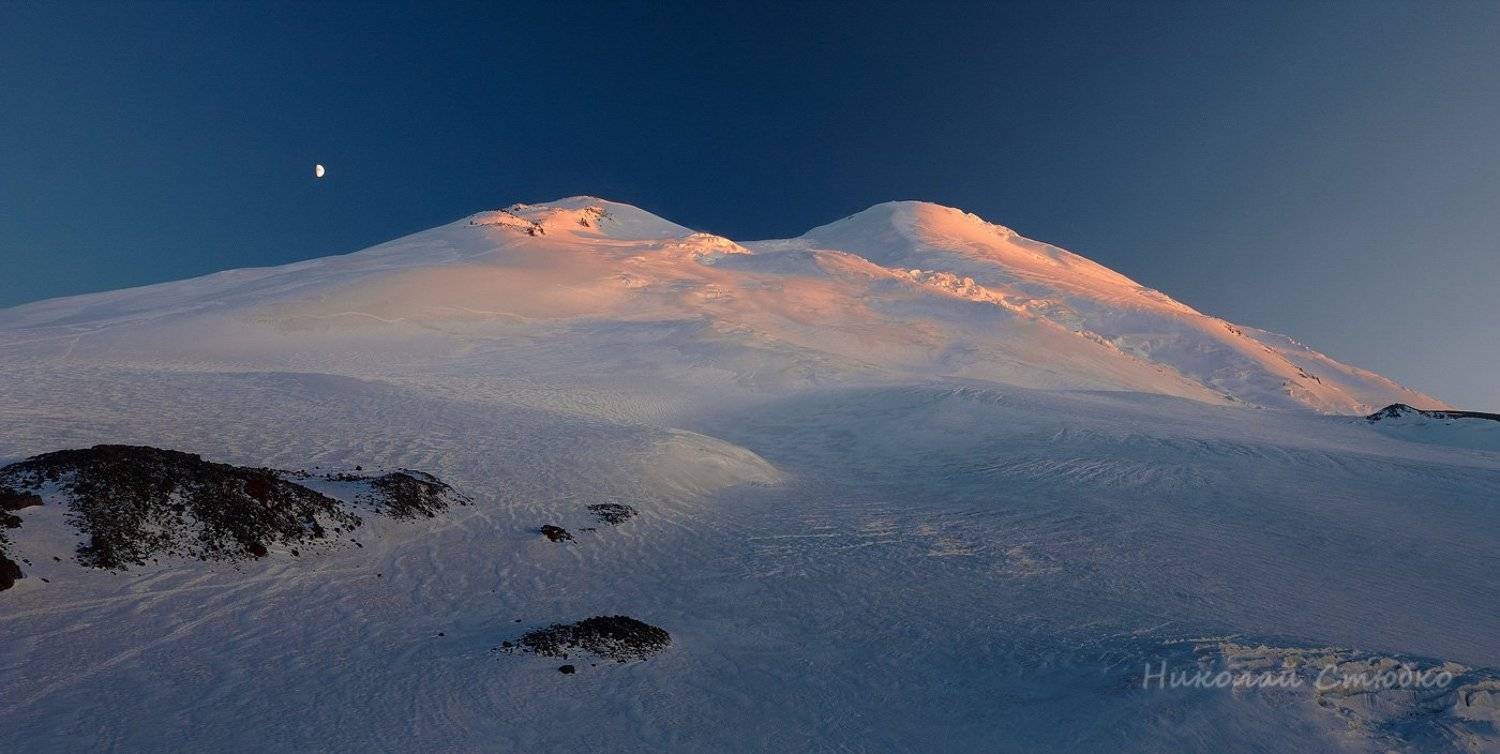 , Николай Стюбко