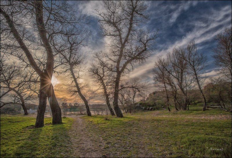 весна,река,вечер * фото превью