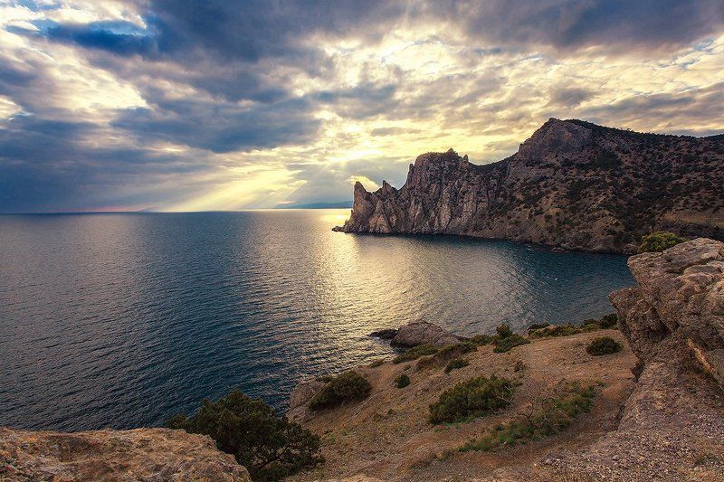 Новый свет фото превью