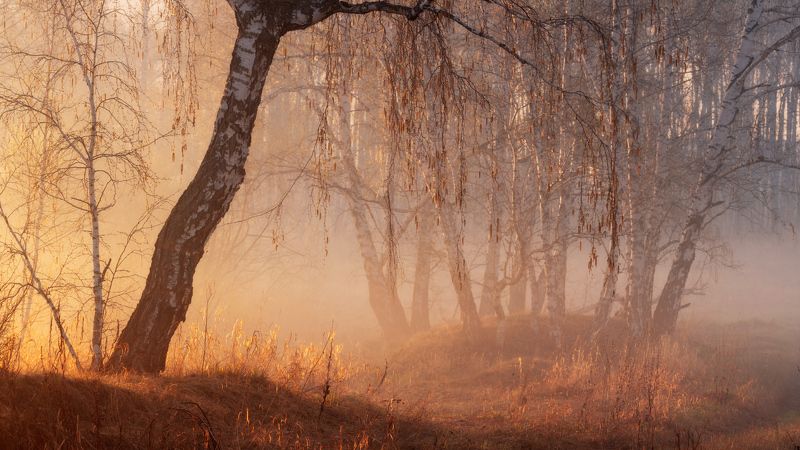 Весенняя бижутерия фото превью