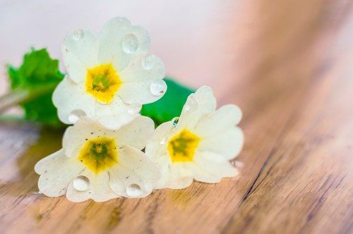 Весна пришла