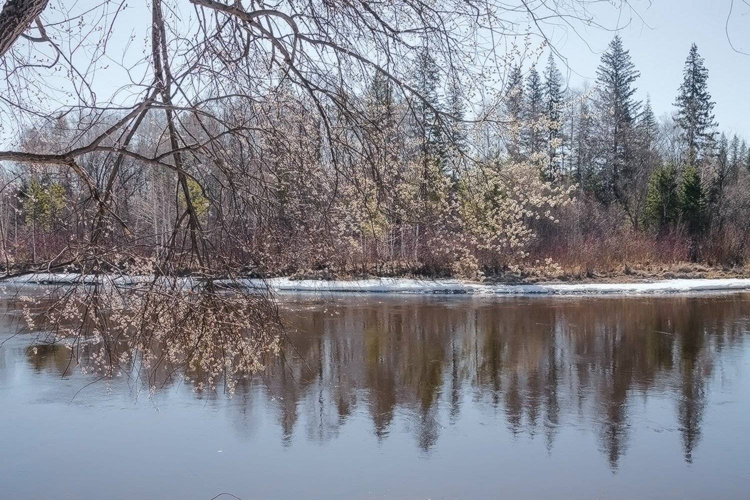 , Николай Морский