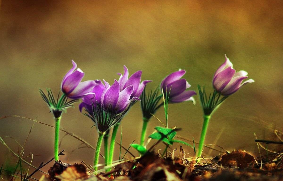 , Инна Богуславская