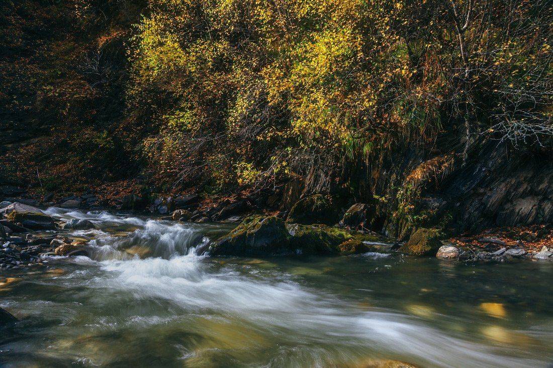 , Ярослав Тюрменко (Jaremi)