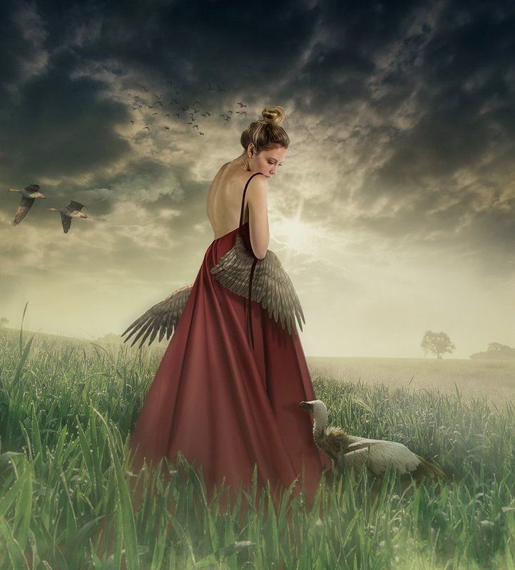 Научите меня летать фото превью