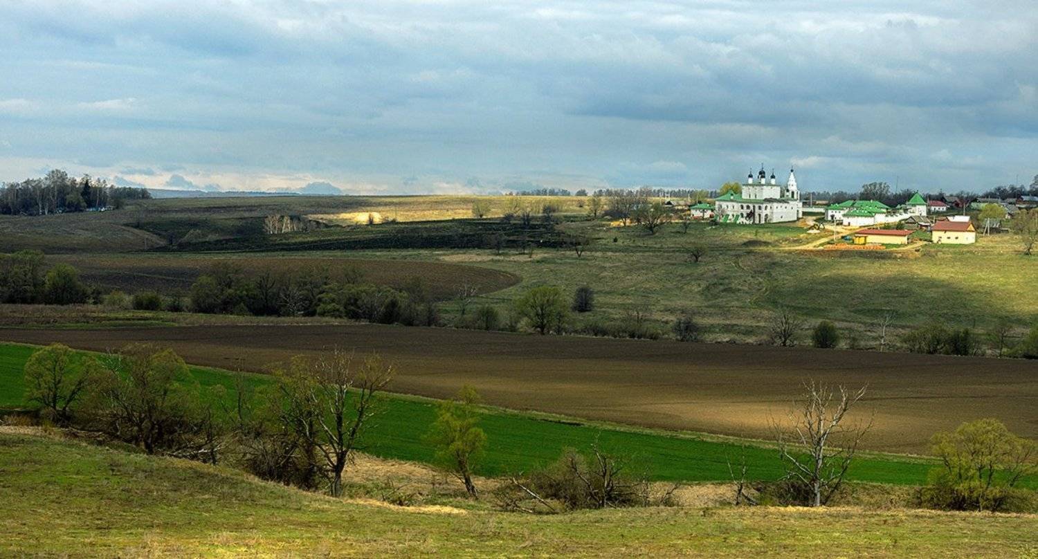 , Анатолий Зверев