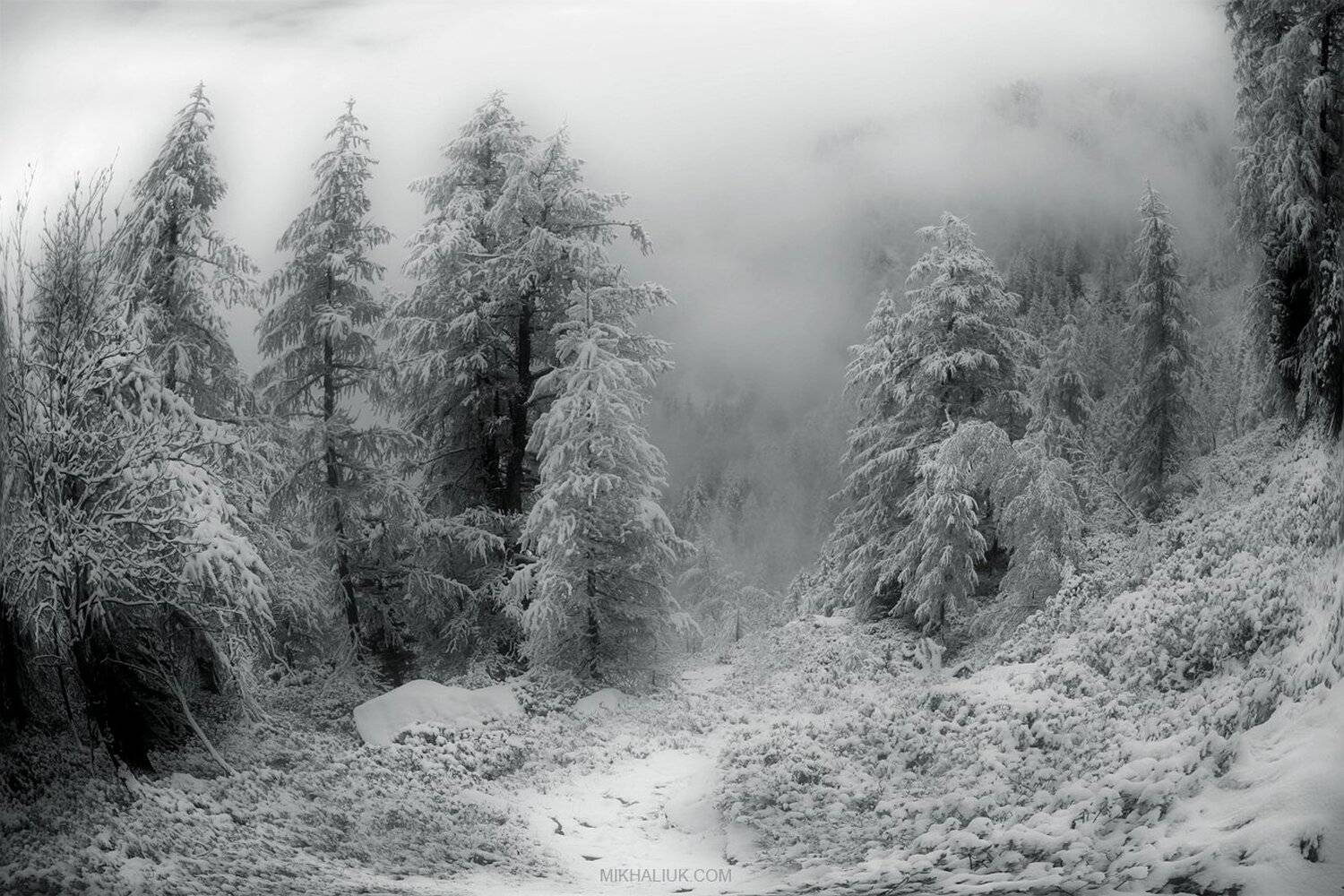 , Михалюк Сергей.