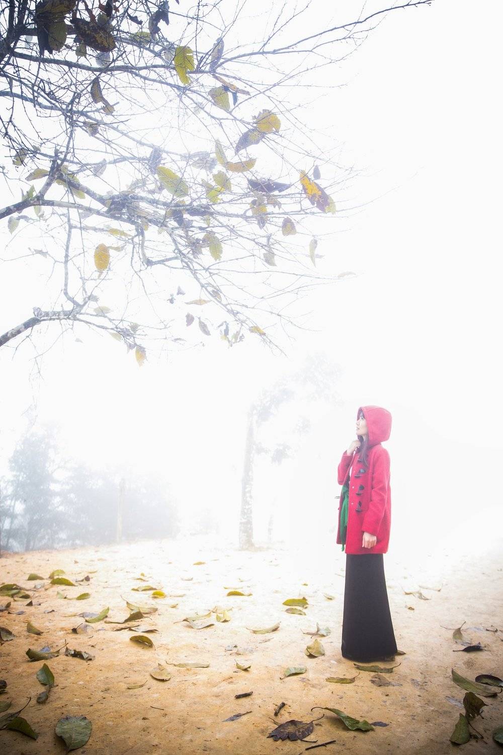 Deciduous, Dream, Fairy tale, Fog, Girl, Light, Portrait, Red, Sad, Sadness, So sad, Tree, Wb, Wind, Winter, Yellow, Nguyen Trung Duc