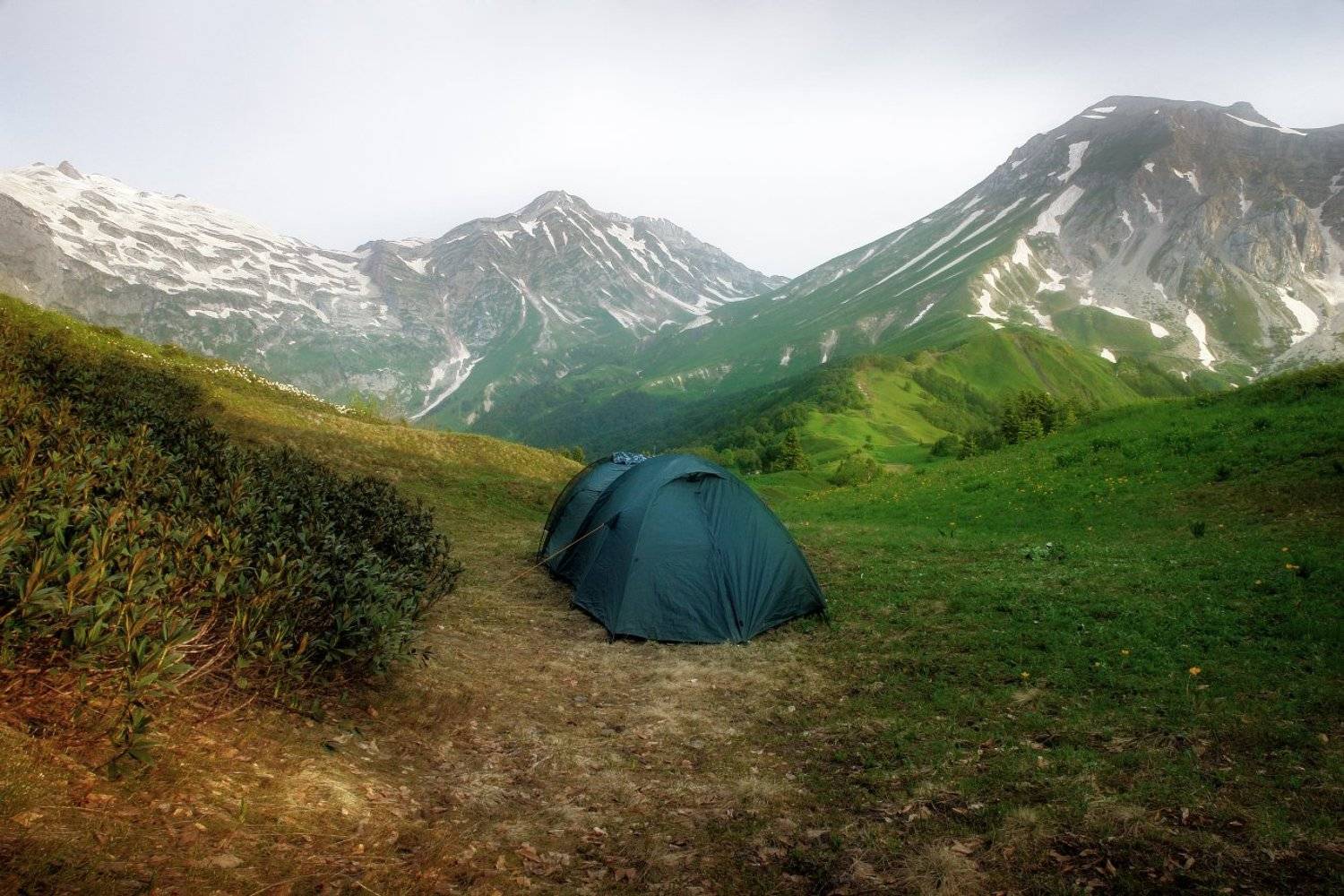 лагонаки, Михаил Зимин