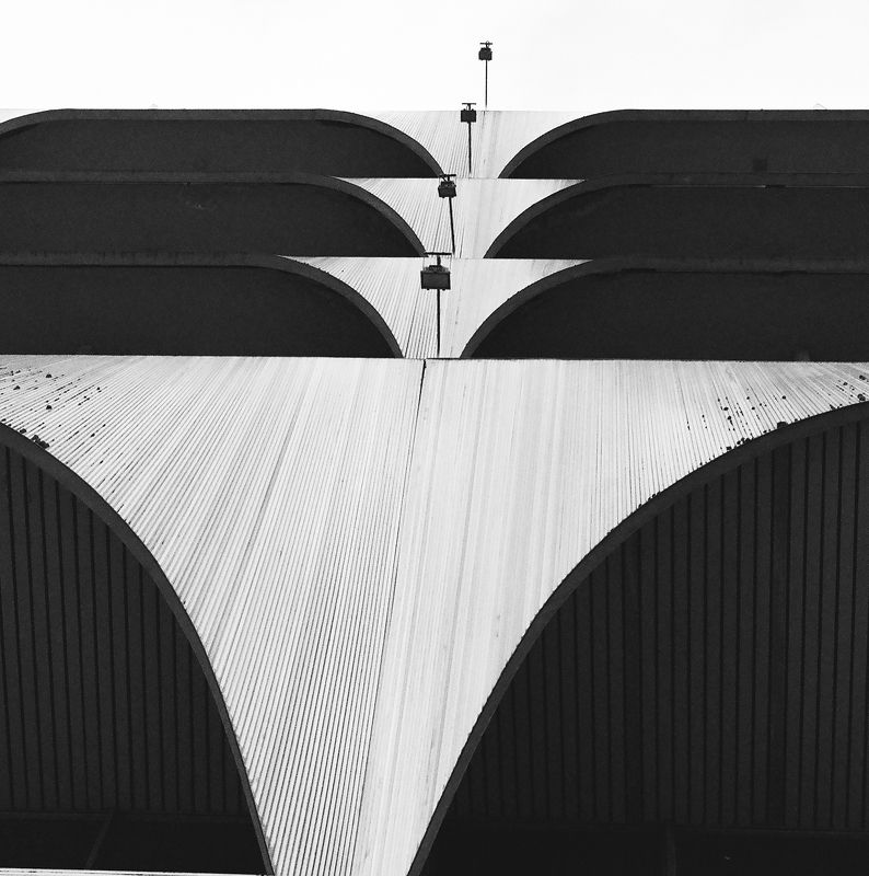 minimalism, koshkinotime, dmitriysosna, sosna * * * фото превью