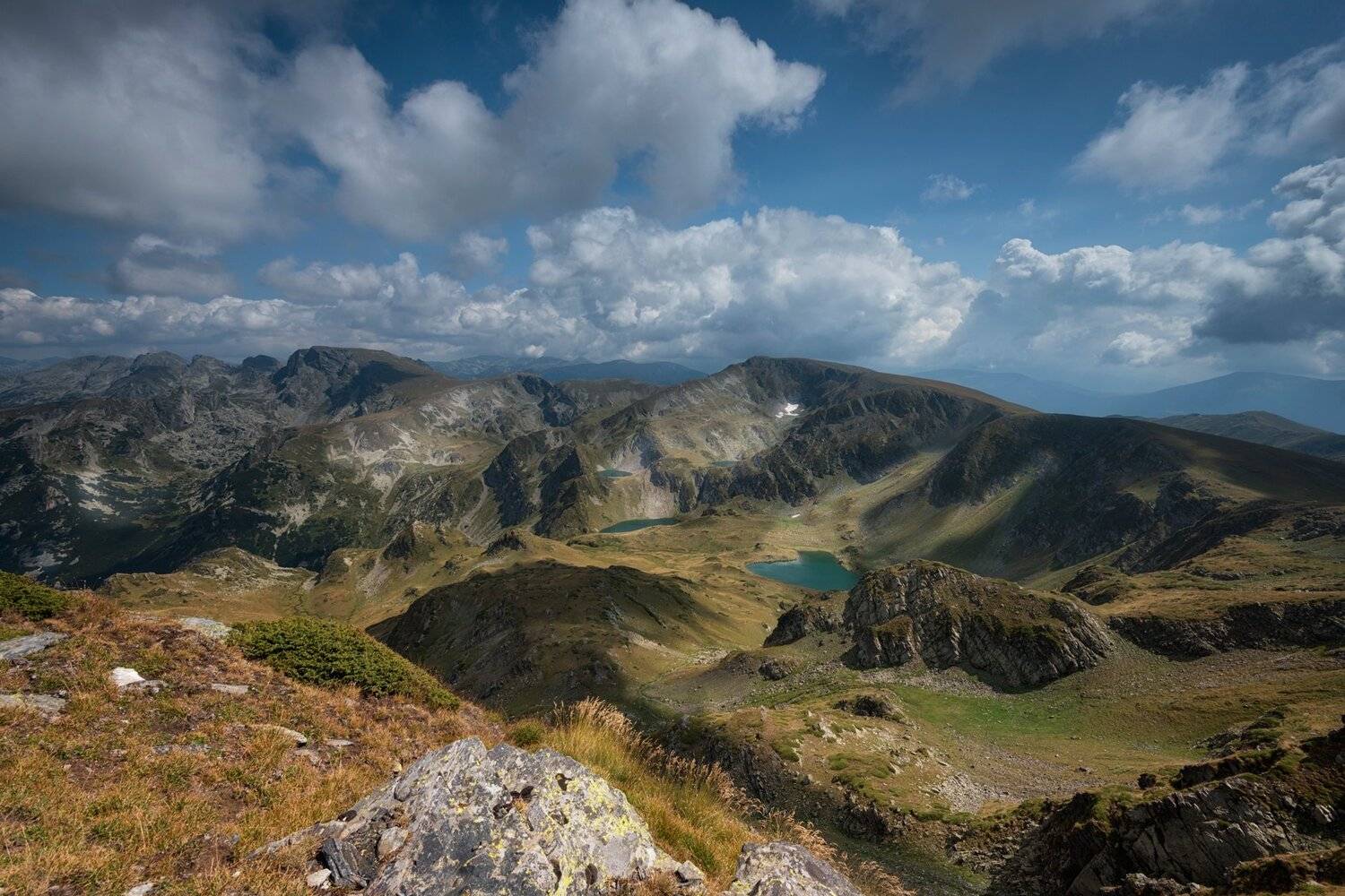 , Весела Маринова