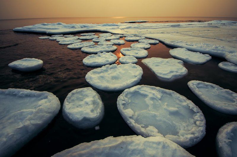 Лёд, море, зима, Приморский край Фабрика по производству блинчиков фото превью