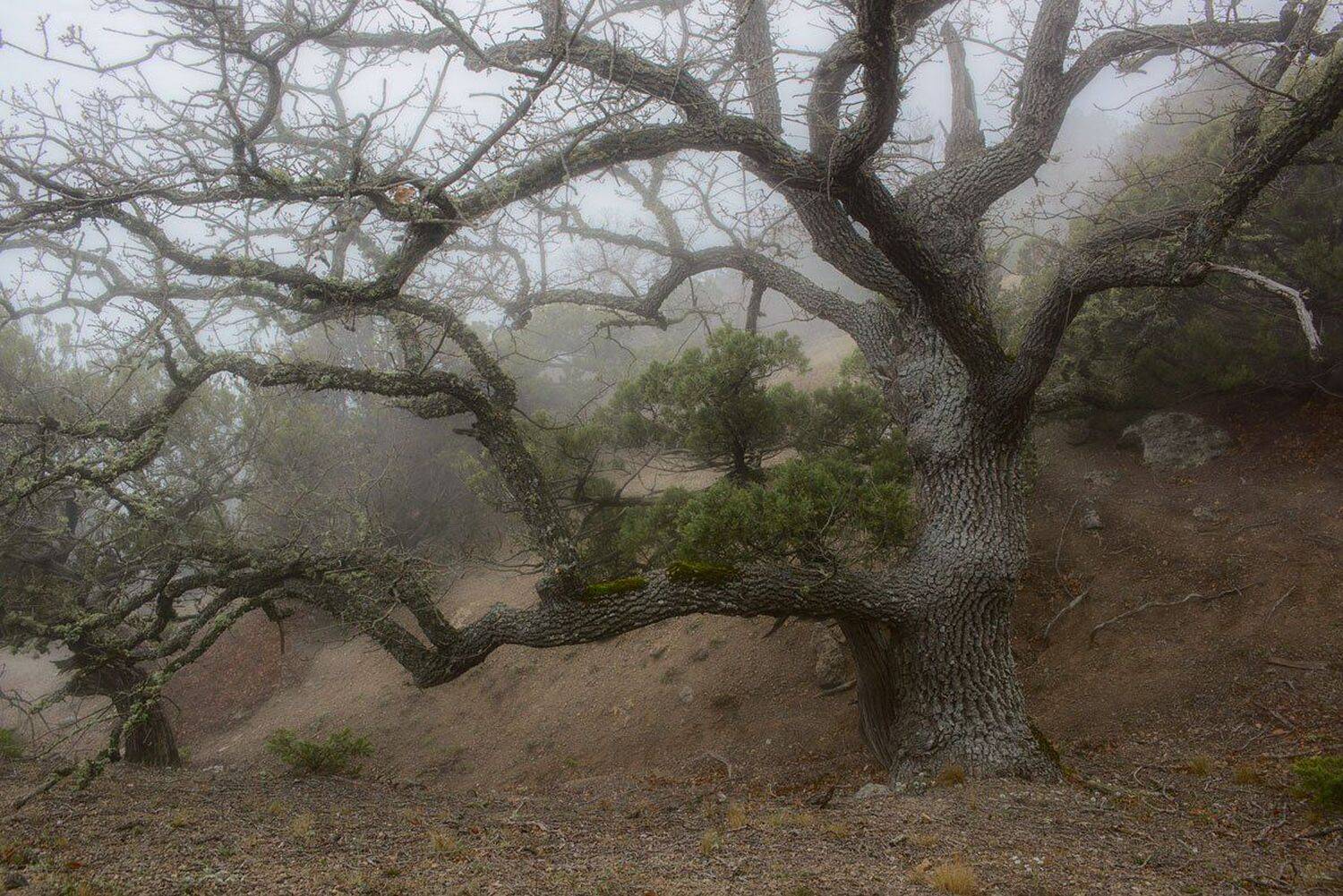 , Сергей Брагин