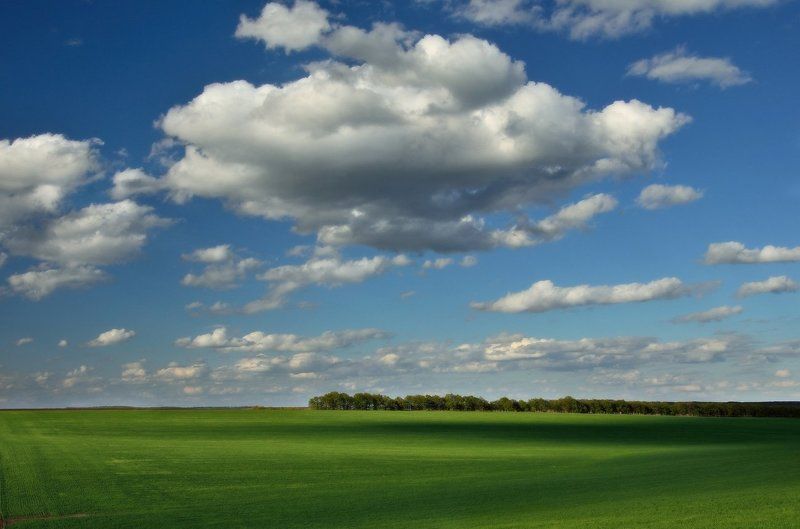 Куда плывут облака? фото превью