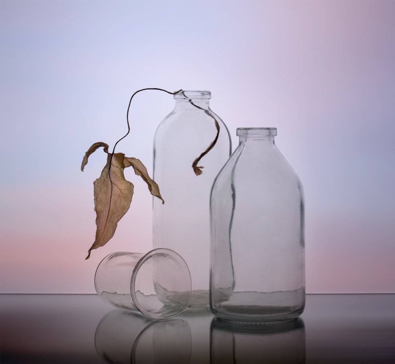 , Людмила Прокофьева