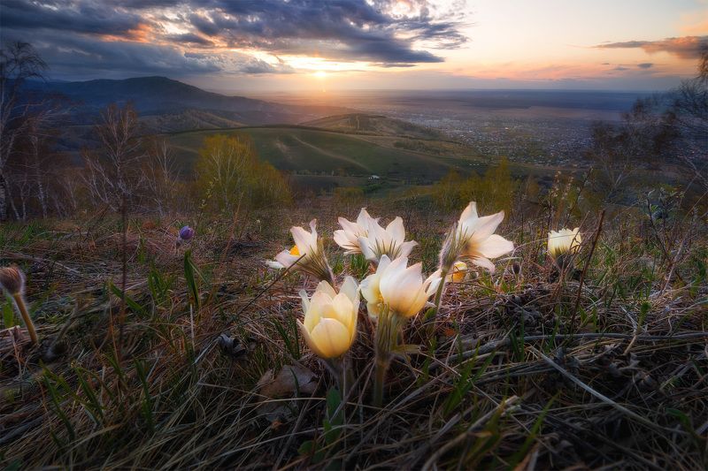 Весна фото превью