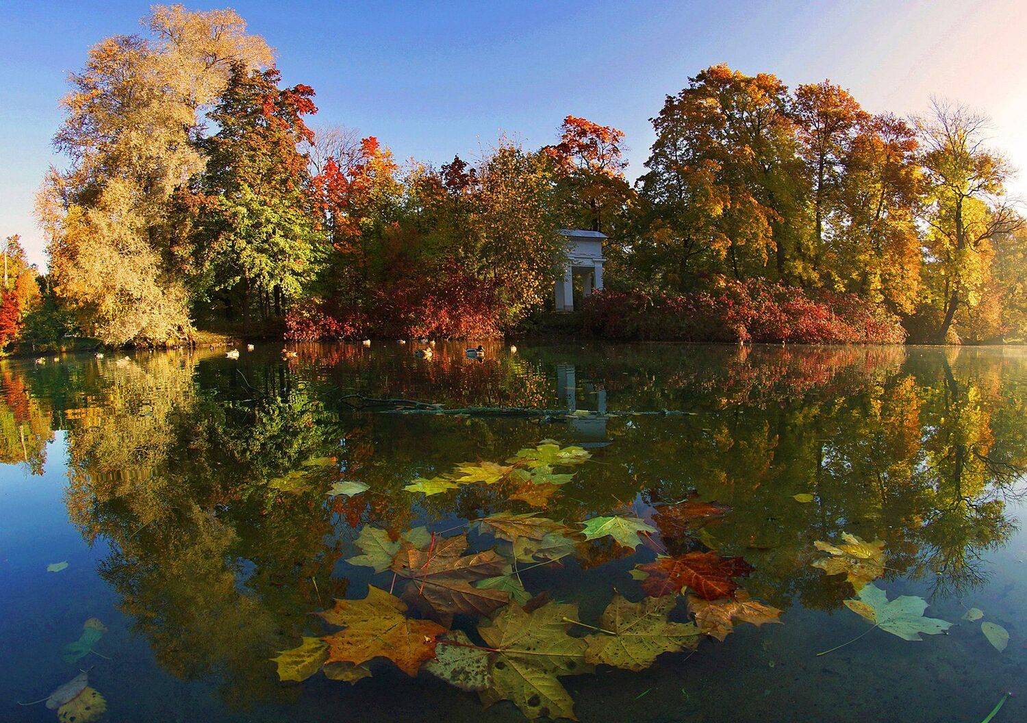 , Петр Косых