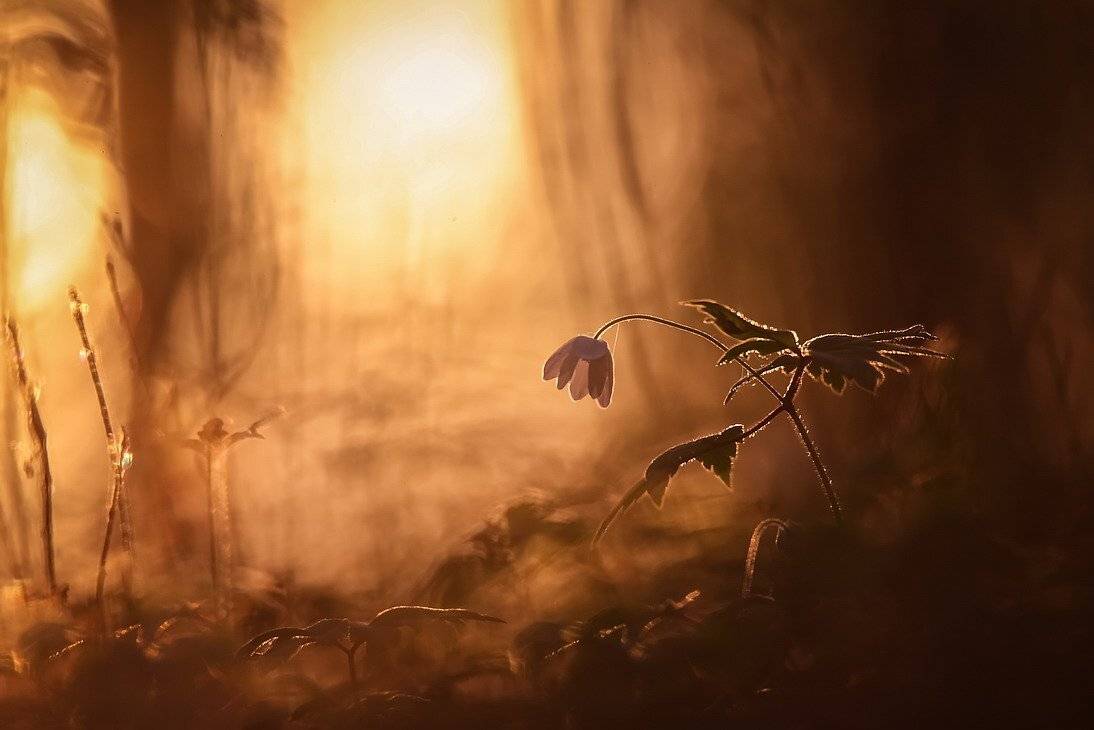 , Вячеслав Мищенко