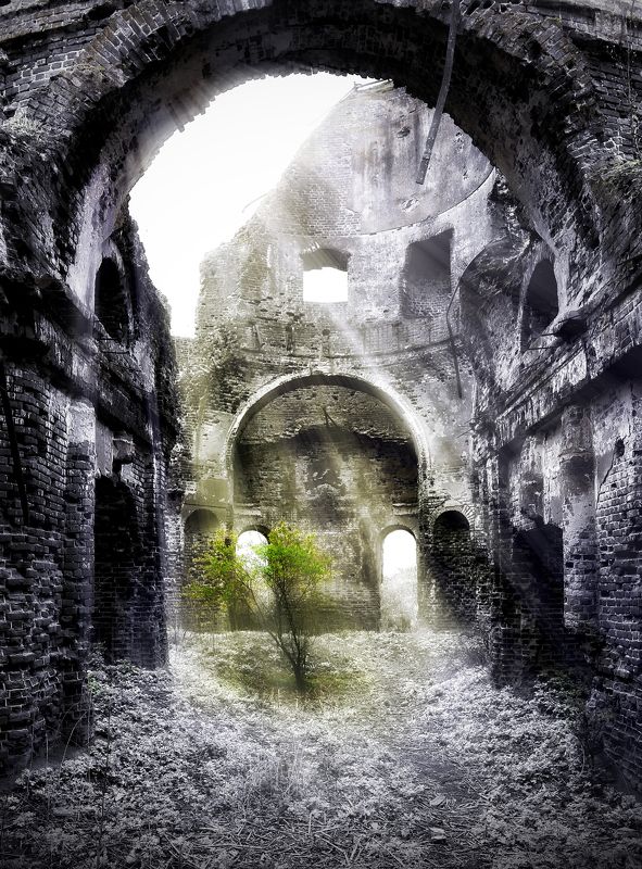 новая жизнь фото превью