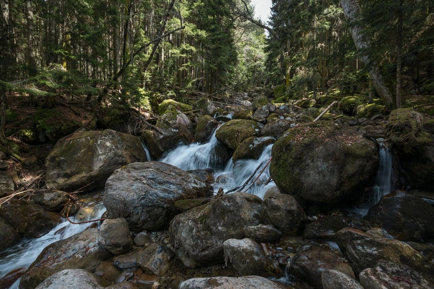 Кчр, Муруджу, Теберда, Коркин Вадим