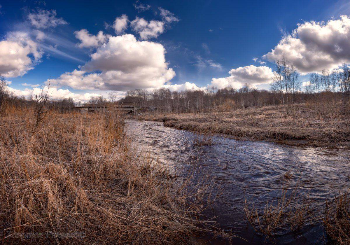 , Хохряков Николай