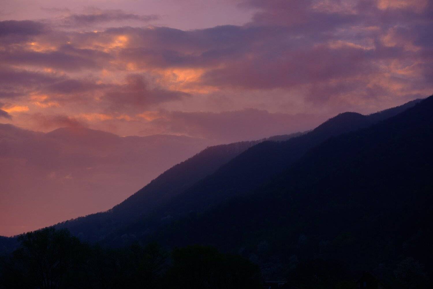 , Лозовский Чеслав