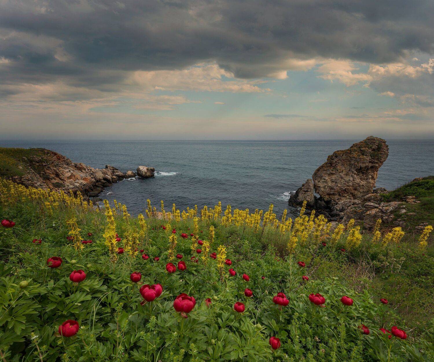 , Svilen Simeonov