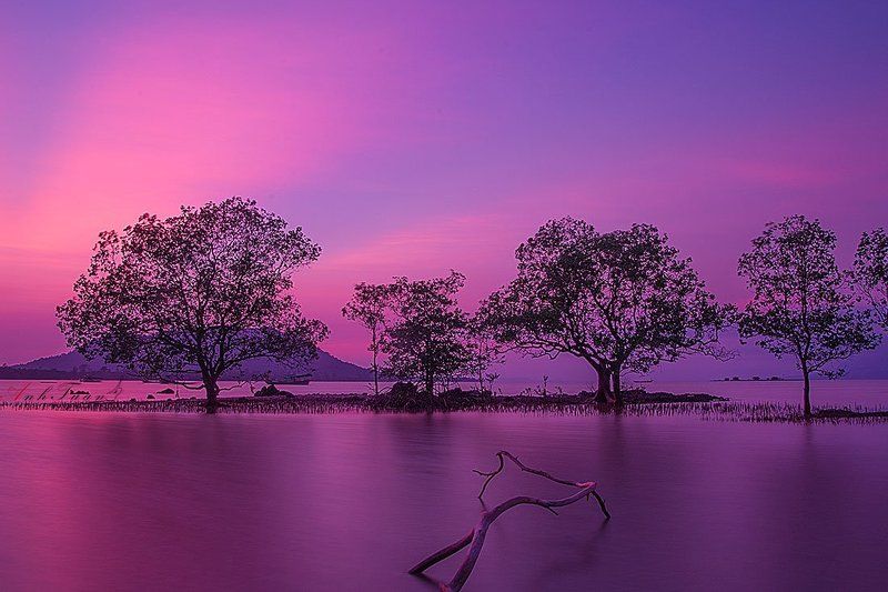 Sunset. фото превью