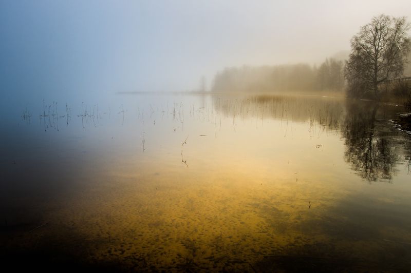 Morning at the lake. фото превью