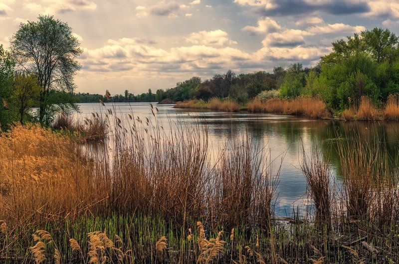 Весенний мотив фото превью