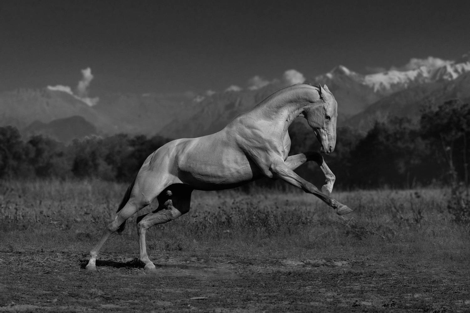 , Макари Лия