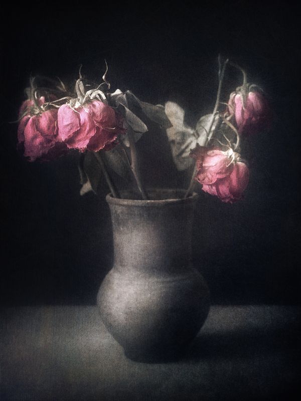 натюрморт, розы Nature Morte. фото превью