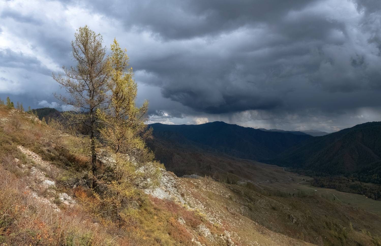 алтай, осень, перевал, чике-таман, тучи, Марина Фомина