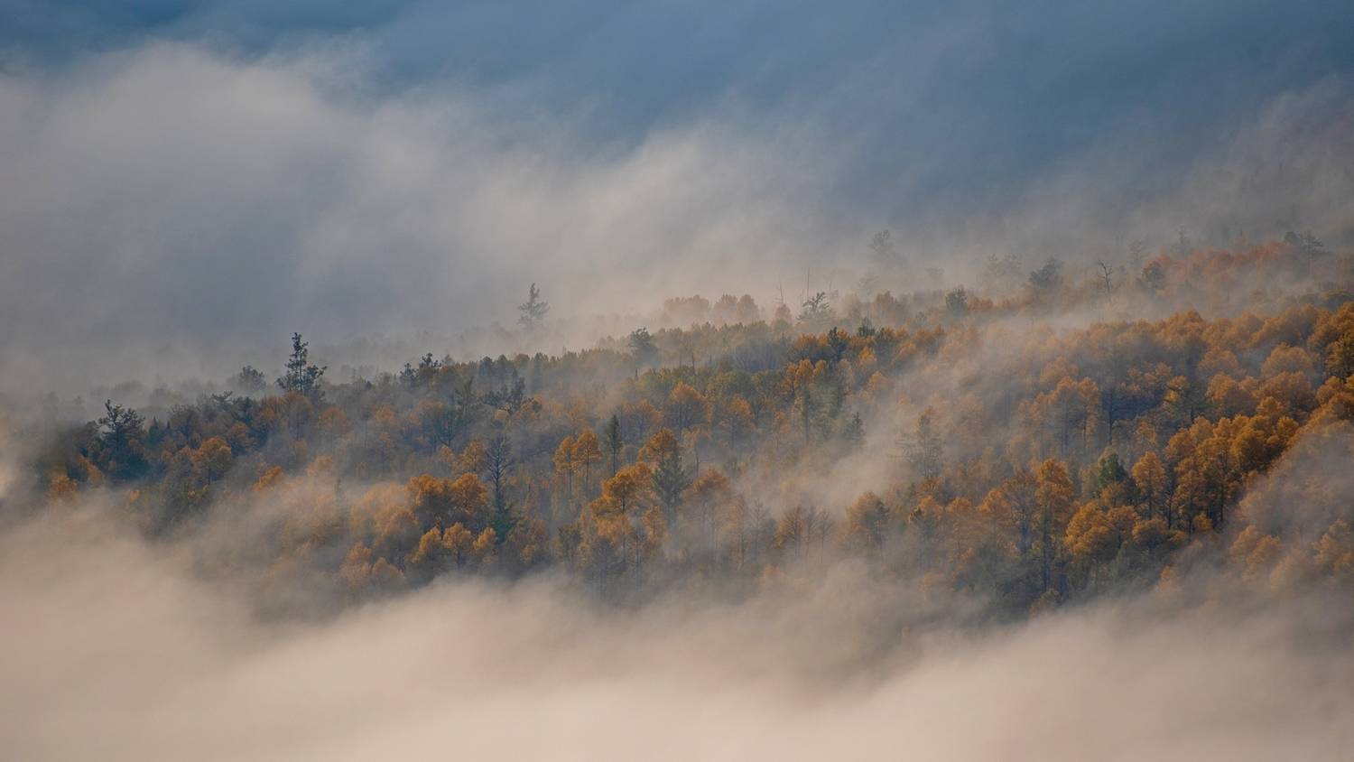 кутурчинское, белогорье, горы, саяны, утро,  скалы, осень, туман, Мальцев Юрий