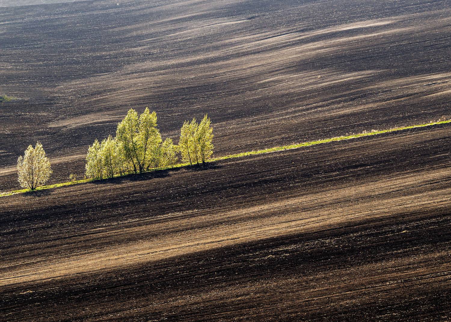 , Андрей Хаймин