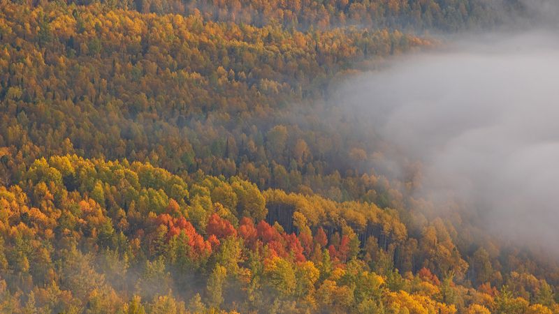 кутурчинское, белогорье, горы, саяны, утро, лес, осень, туман Контратака фото превью