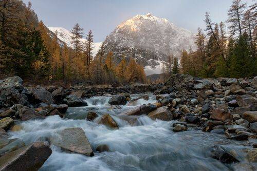 под туманной вуалью
