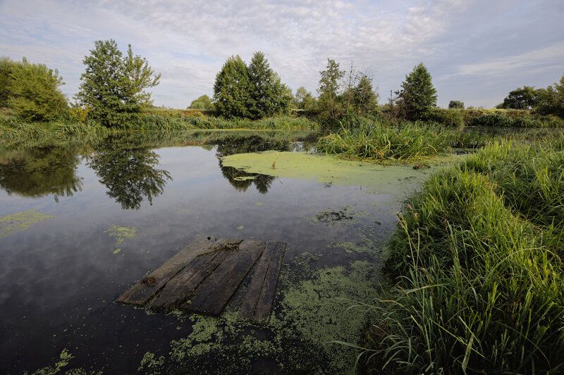 Утро.Август 2025. фото превью