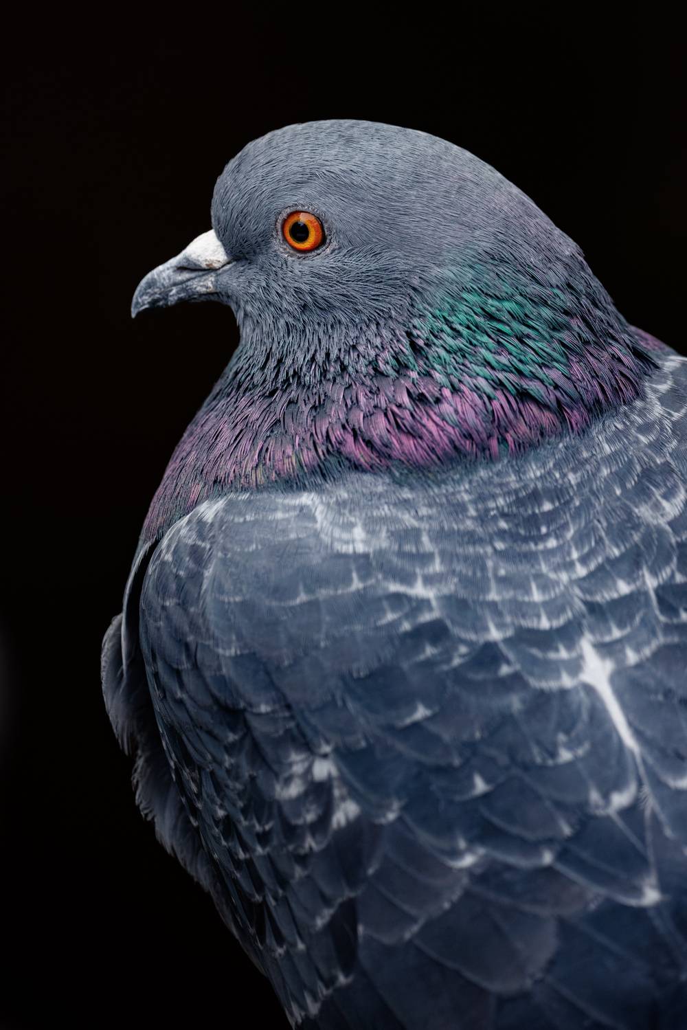 , ssmirs Сергей