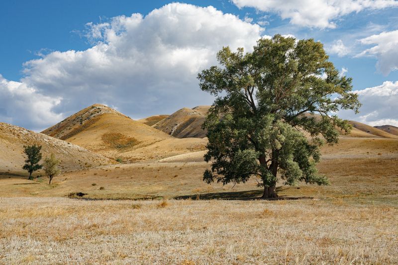 Южный Урал, сентябрь. фото превью